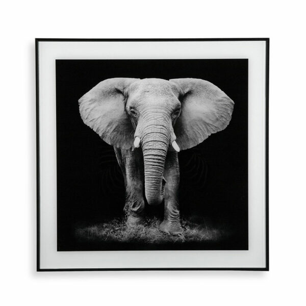 Cuadro elefante cristal 50x2x50cm